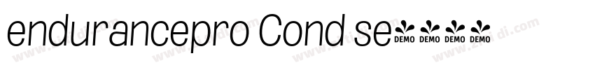 endurancepro Cond se字体转换